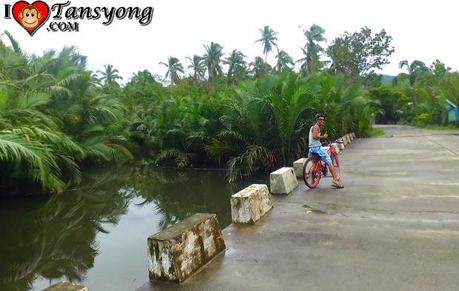 Breathless Biking within Baler Proper.