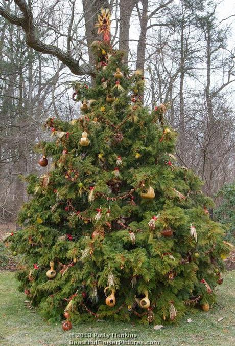 Christmas at the wildlife tree at Longwood Gardens © 2013 Patty Hankins