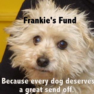 Frankie-for-blog-004