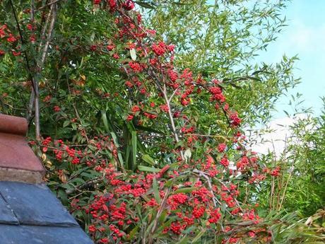 A Look Back at the Year 2013 A Look Back at the Year 2013