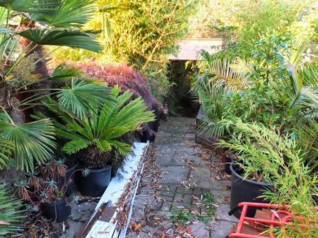 A Look Back at the Year 2013 A Look Back at the Year 2013