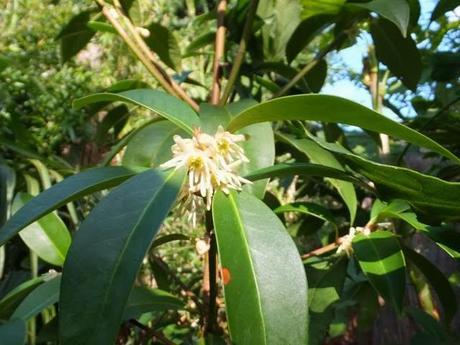 A Look Back at the Year 2013 A Look Back at the Year 2013