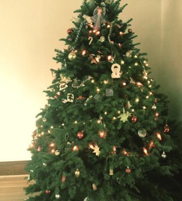 An empty corner waiting to be filled… Christmas tree in corner