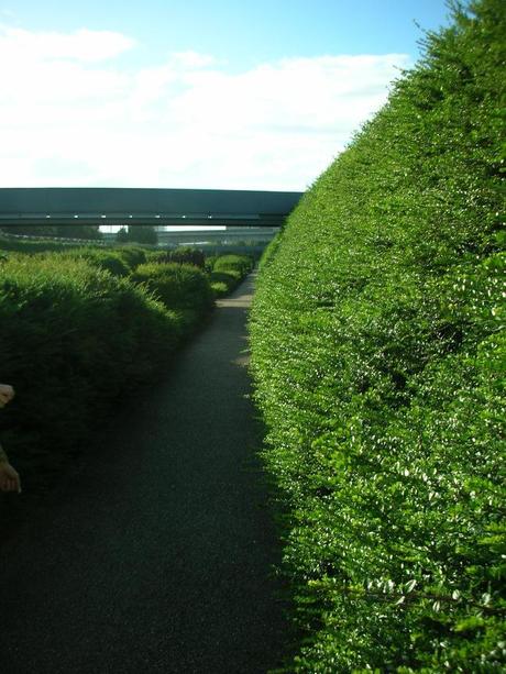 Thames Barrier Park, London - Green Wall