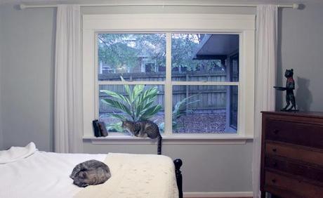 DIY: Wooden Window Frames