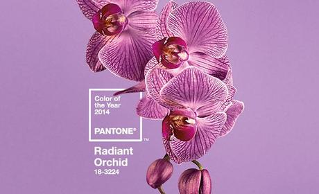 1-pantone-color-of-the-year-2014-radiant-orchid