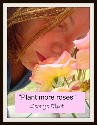 Plant more roses w edits
