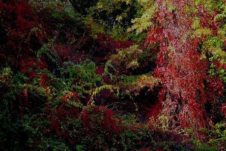 red green and vines, xmas mix.jpg