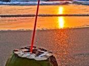 World Class Beaches Southern India