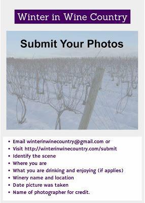 Calling for Winter in Wine Country Photos