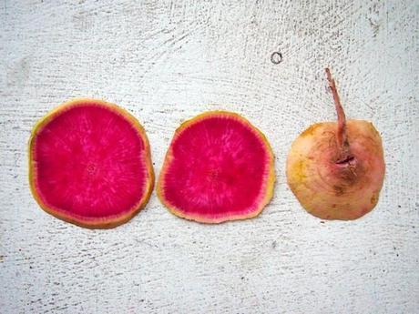 Watermelon radish