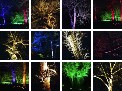 Kew Gardens Illuminated Trail – only 2 days left