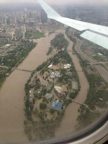 What the Calgary Zoo looked like during the Flood
