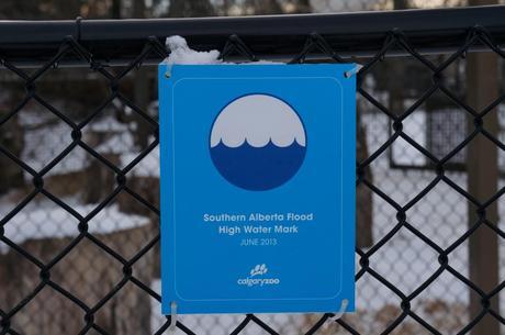 Calgary Zoo – From Flood to Flourish!