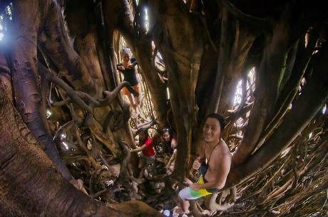 Balete Park & Millennium Tree: Largest Balete in Asia