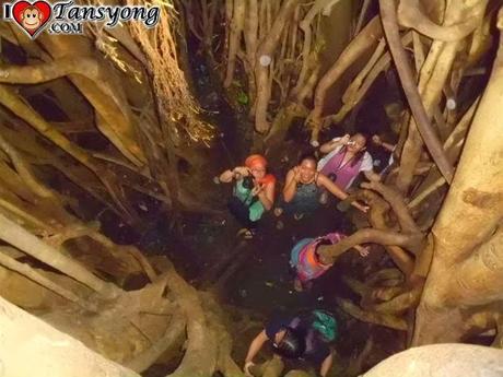 Balete Park & Millennium Tree: Largest Balete in Asia