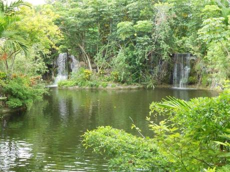 Rachel's Fictography