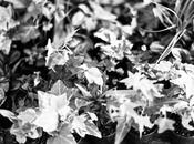 Weekend: Going into Hibernation Mode