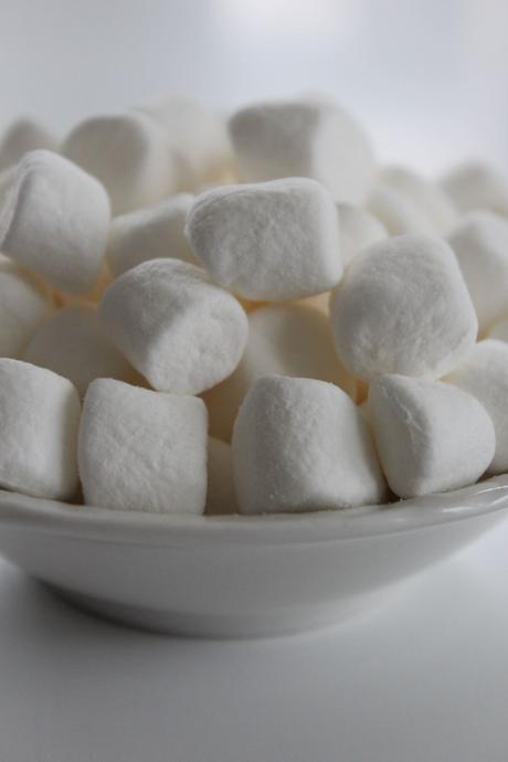The Marshmallow Test and Student Success