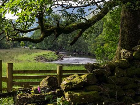 gate-in-the-scottish-countryside