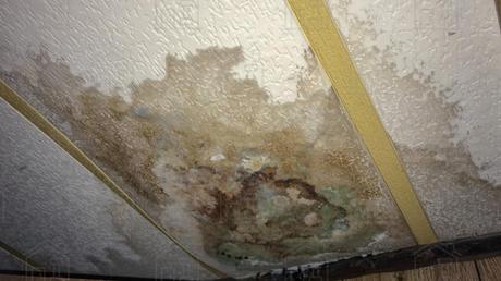 Ceiling Woes Begone: Your Guide to Easily Fixing a Saggy Ceiling