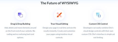 WYSIWYG Divi Feature