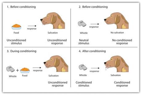 Unconditioned Stimulus Psychology Definition