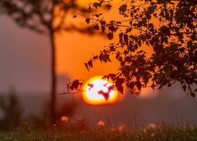 Sunrise on Nov. 9, 2023 in Liberty State Park