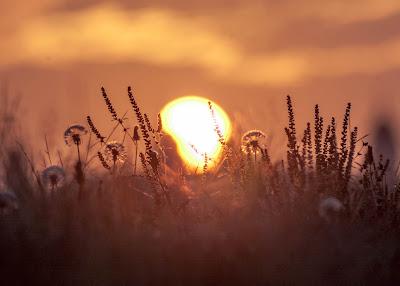 Sunrise on Nov. 9, 2023 in Liberty State Park