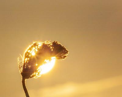Sunrise on Nov. 9, 2023 in Liberty State Park