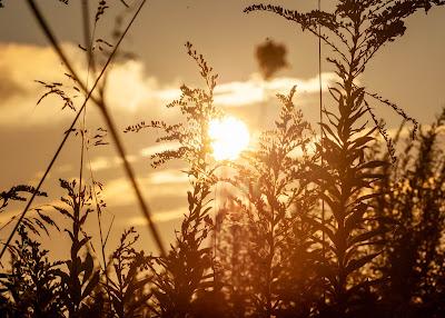 Sunrise on Nov. 9, 2023 in Liberty State Park