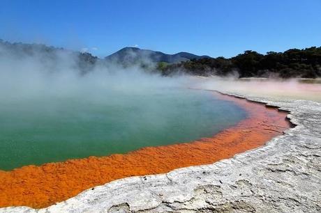 Rotorua (New Zealand)