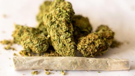 Guide to Finding a Local Dispensary Guide to Finding a Local Dispensary