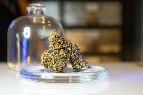 Guide to Finding a Local Dispensary Guide to Finding a Local Dispensary