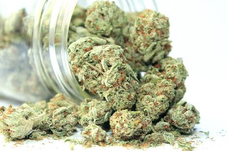 Guide to Finding a Local Dispensary Guide to Finding a Local Dispensary