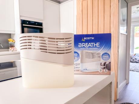 7 Issues That Can Occur Without A Good Moisture Absorber in Your Home! | Bostik Breathe