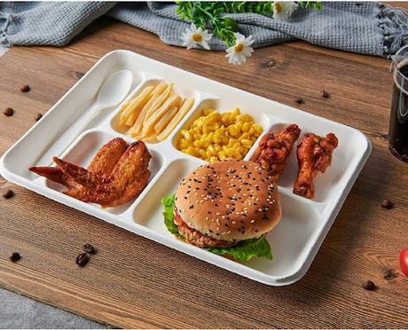 100% Compostable Compartment Paper Plates