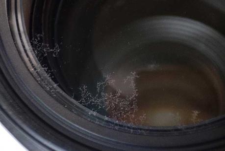 Camera Lens Fungus| How to AVOID/ REMOVE/ CLEAN It?