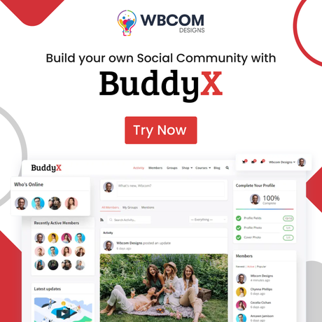 buddyx theme