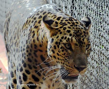Eyes, Beautiful eyes !! - கண்களும் கவி பாடுதே Eyes, Beautiful eyes !! - கண்களும் கவி பாடுதே