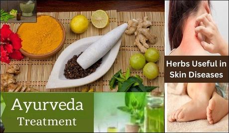Ayurvedic Herbs Useful in Skin Diseases