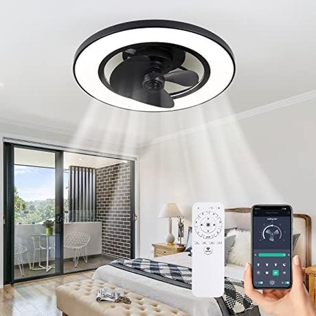 Ceiling Fan with Lights