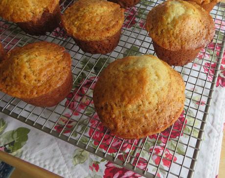 Honey Buttermilk Muffins