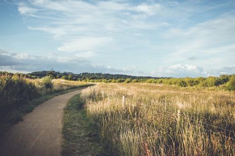 walking-and-cycling-trail-through-the-countryside-in-rutland