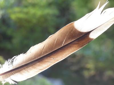 Near and Far and In-Between