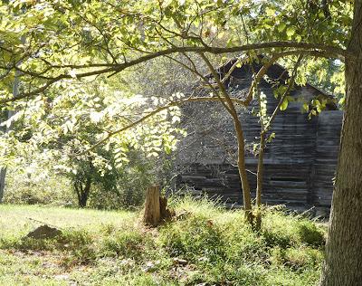 Near and Far and In-Between