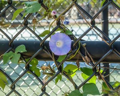 Return to South Philly