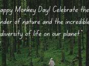 International Monkey Wishes, Quotes, Messages ,Greetings, History