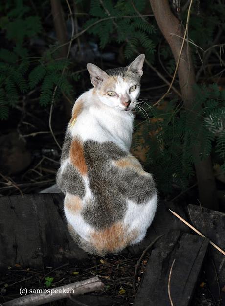 the response time !  -  'உங்க டக்கு இவ்வளவுதானா ?