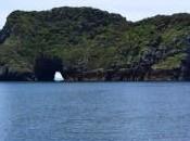 Scuba Diving Places Zealand 2023: Thrilling Side Country!